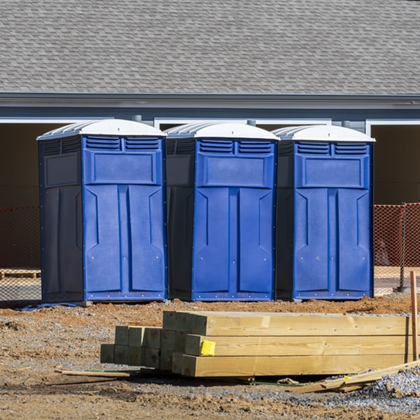 how often are the porta potties cleaned and serviced during a rental period in Leonore